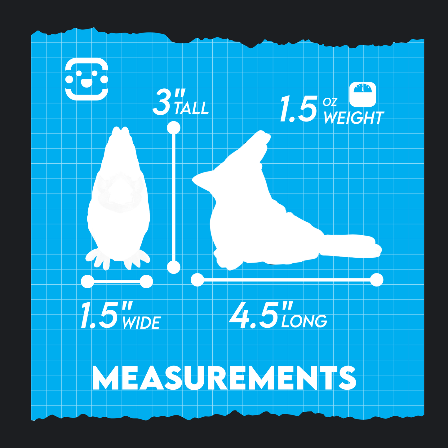 Articulated Cardinal