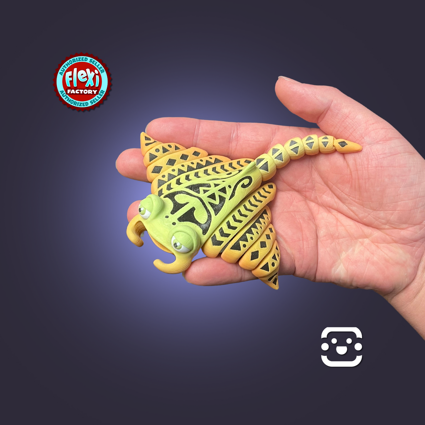 Manta Ray Fidget